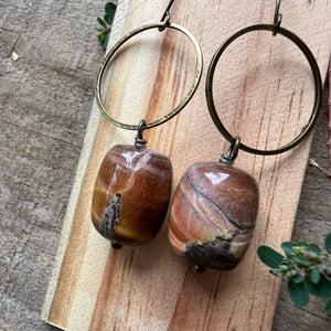 Tiger’s Eye and Circle Earrings