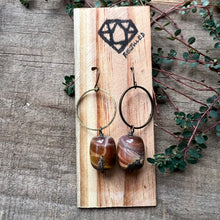 Tiger’s Eye and Circle Earrings